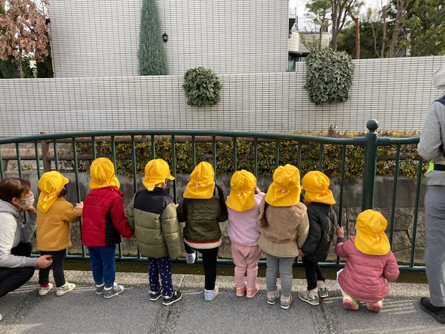 ☆そらいろ川後ろ姿